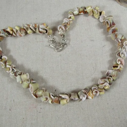 Man's Beach Inspired  Sea Shell Necklace Bold
